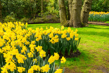 Similar image 14873442