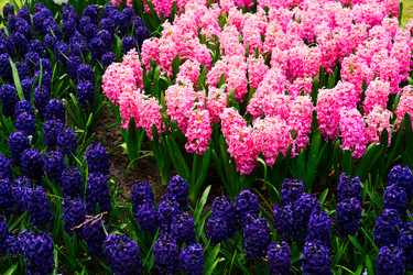 Similar image 14873532