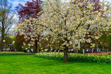 Similar image 14873507