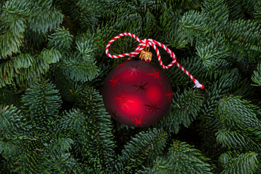 Similar image 14873741