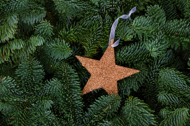 Similar image 14873743