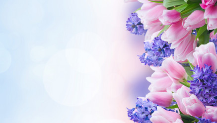 Similar image 14874083