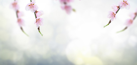 Similar image 14874101