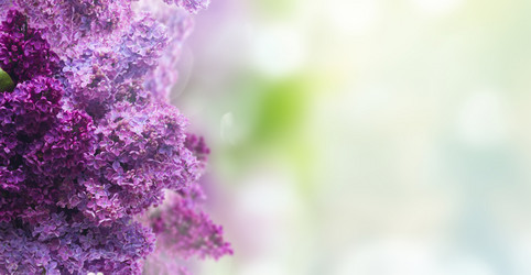 Similar image 14873168