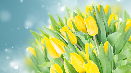 Similar image 14873208