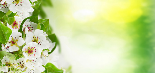 Similar image 14873209