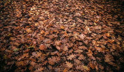 Similar image 13651201