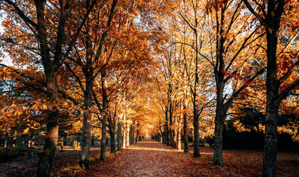 Similar image 13651213