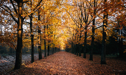 Similar image 13651237