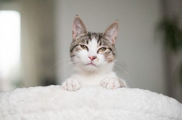 Similar image 14237739