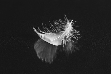 Similar image 13873476