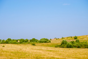 Similar image 14239417