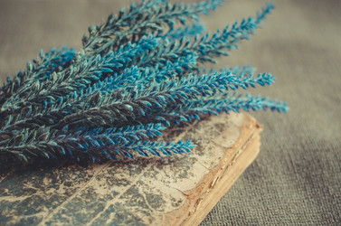 Similar image 14240148