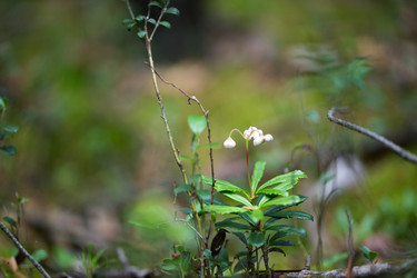 Similar image 14241638