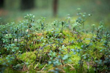 Similar image 14241657