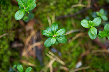 Similar image 14242234