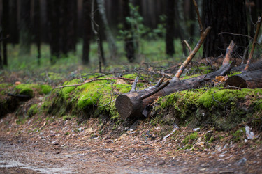 Similar image 14241382