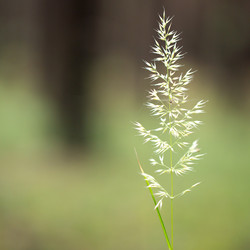 Similar image 14508399