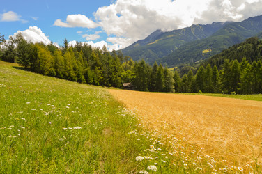 Similar image 13873515