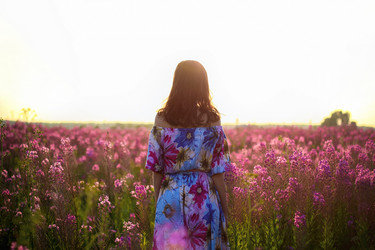 Similar image 14508260