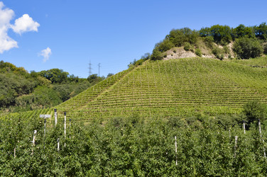 Similar image 14231692