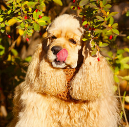 Similar image 14505628