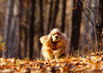 Similar image 14240254