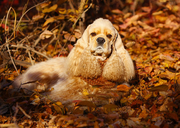 Similar image 14240224