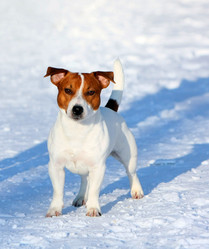 Similar image 14240227