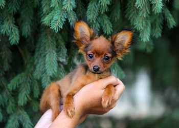 Similar image 14240230