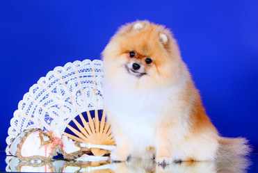 Similar image 14240231