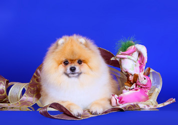 Similar image 14240232