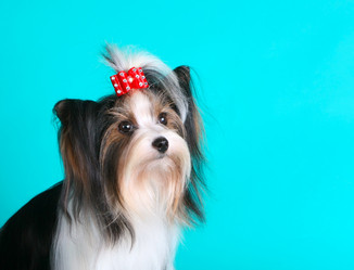 Similar image 14240419