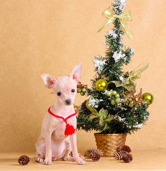 Similar image 14240540