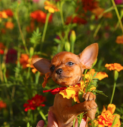 Similar image 14240575