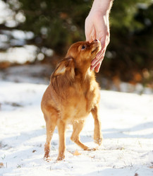 Similar image 14240690