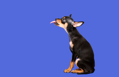 Similar image 14505630