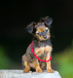 Similar image 14240589