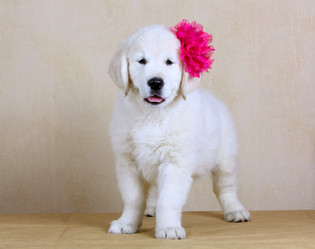 Similar image 14505631