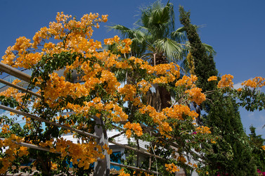 Similar image 14230652