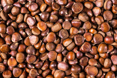 Similar image 14510016