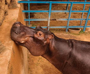 Similar image 14869180