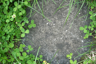 Similar image 14513564