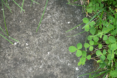 Similar image 14513565