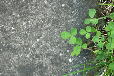 Similar image 14513577