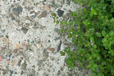 Similar image 14513602