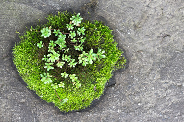 Similar image 14513566