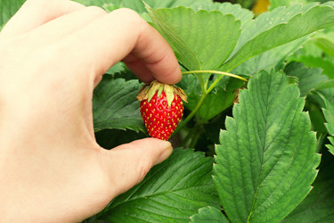 Similar image 14513567