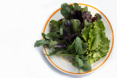 Similar image 14513568