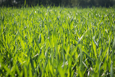 Similar image 14513583